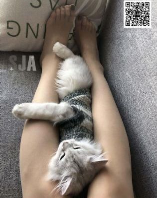 影音先锋色精品先锋_HD免费在线播放