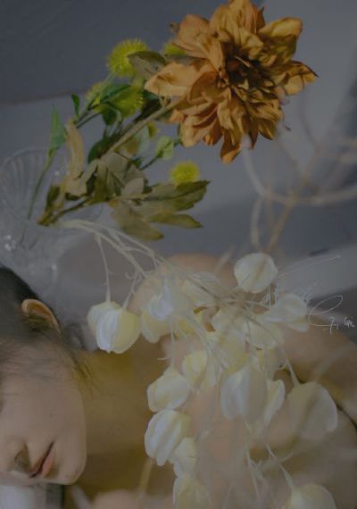 7788成人片免费播放_高清高清迅雷在线观看